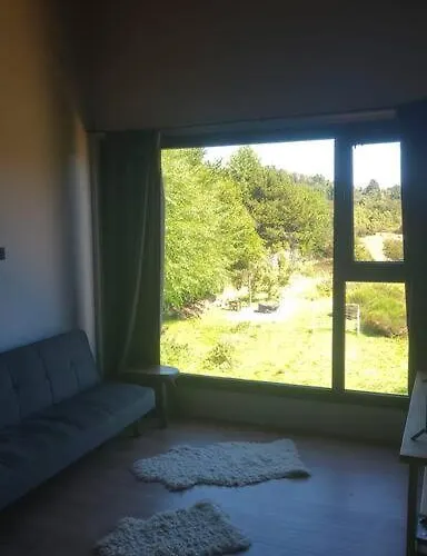 Paihuen: Casa Moderna Con Vista